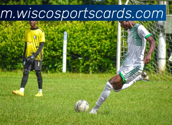 App 展示图